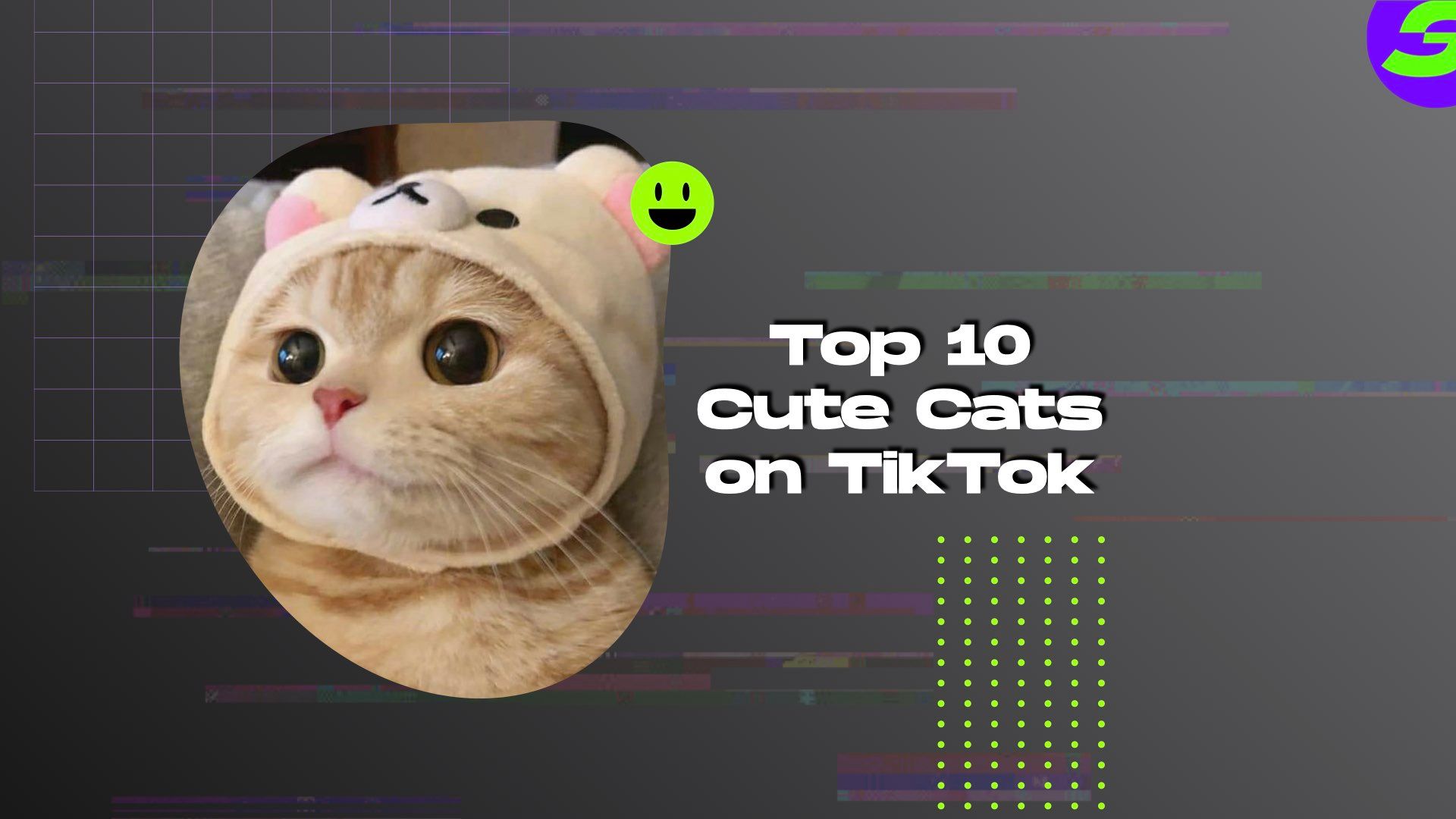 cool cat icons｜TikTok Search